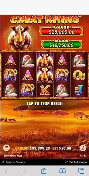 Great Rhino mobile screenshot #3