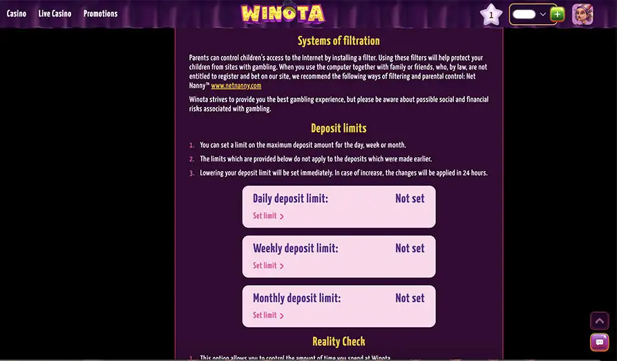 Winota Casino Responsible Gaming Screenshot image #2 for Winota Casino