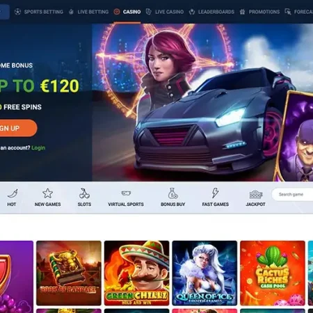 Explore 5000 Games and 20 Crypto Deposit Options on 20 Bet