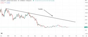 Avalanche price on a long term trend