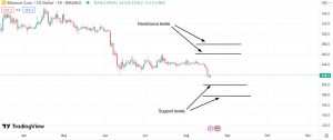 Important support & resistance levels for BNB