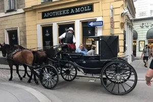 Horse Carriage in Vienna, Austria - CryptoLists.com Vienna, Austria