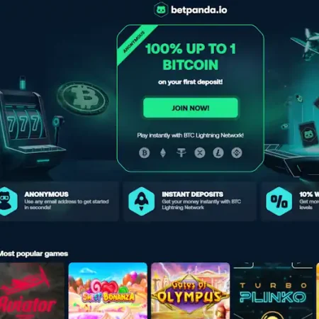 Play Casino Games Without KYC On Bet Panda