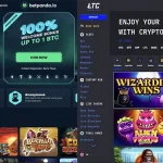BetPanda vs LTC Casino: Which No-KYC Site Wins?