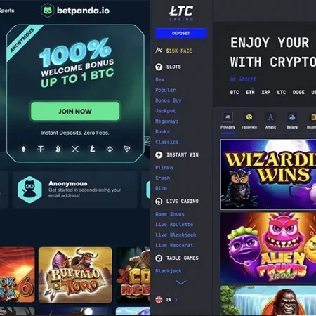 No KYC Casinos Compared: BetPanda vs LTC Casino