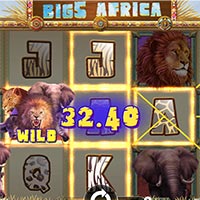 7 mojos game Big 5 Africa