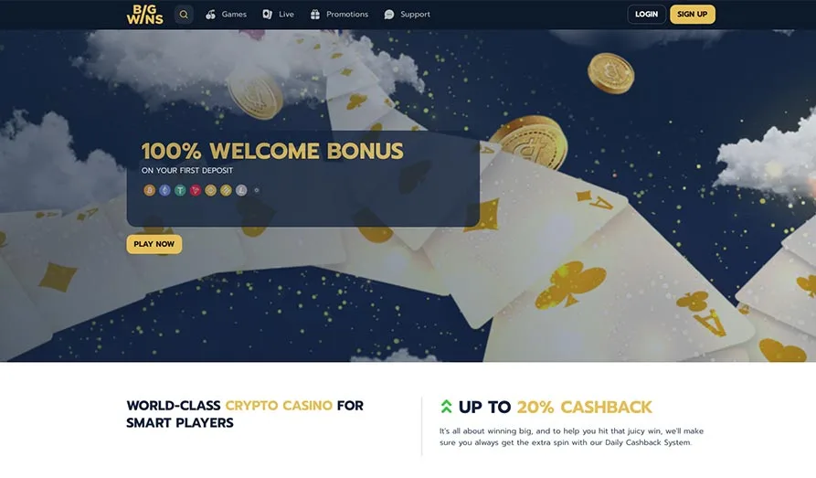 Screenshot image #1 for Big Wins Casino