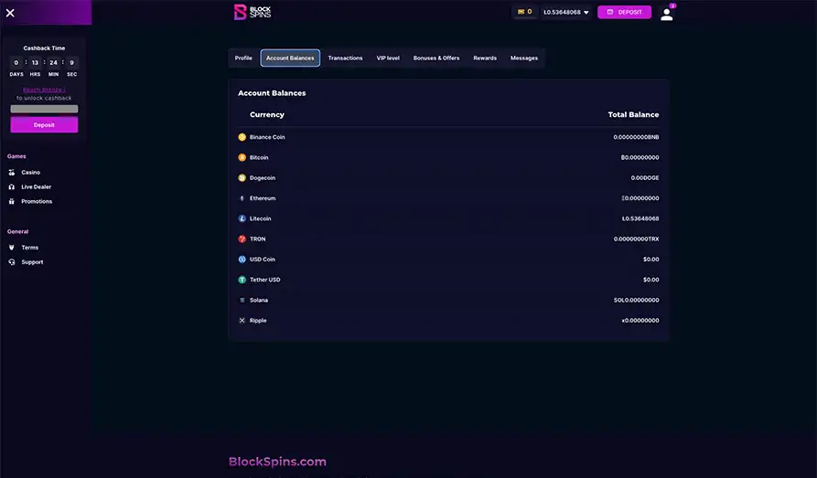 Blockspins Wallet Landscape screenshot image #1 for Blockspins Casino