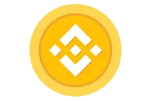 Logo for BNB