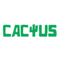 Deposit with USDT on 4 different blockchains at Cactus!