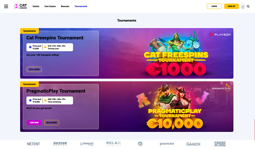 Screenshot image #2 for Cat Casino
