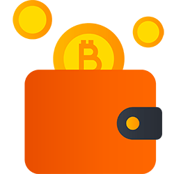 Crypto wallet with one bitcoin