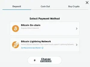 Cryptorino BTC lightning network