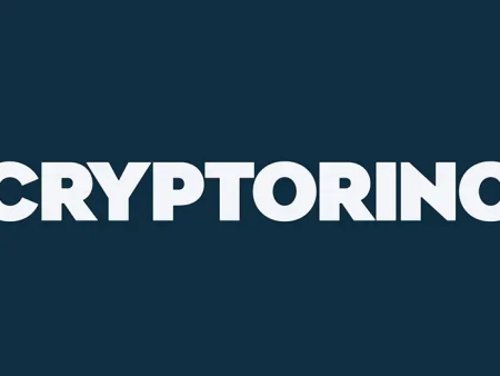 8 Questions For The New Cryptorino Casino Team