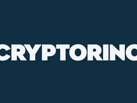 Cryptorino Casino Interview: No-KYC Claims Tested