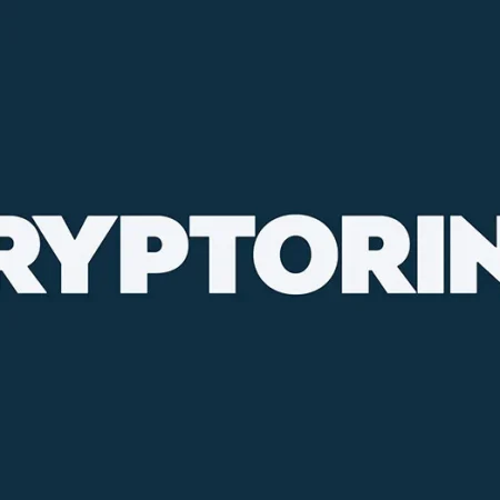 8 Questions For The New Cryptorino Casino Team