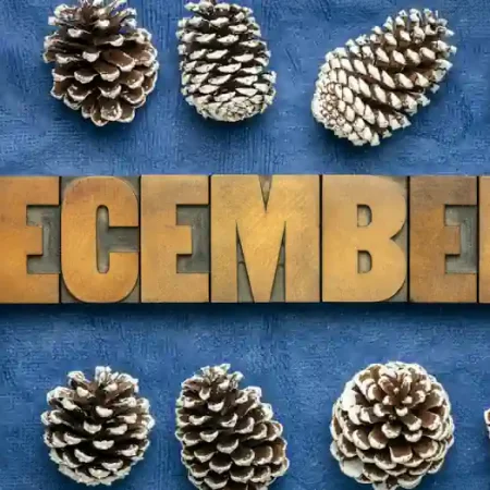 Top 3 New Bitcoin Casinos in December 2023
