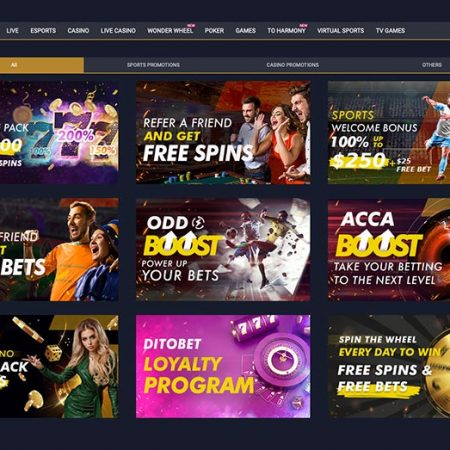 Dito Bet: A Top Bitcoin Casino With Sportsbook