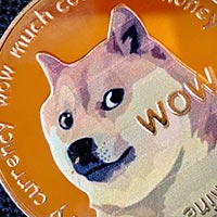 DogeCoin loses 40,000 holders