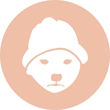 dogwifihat logo