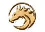 Dragonsoft logo