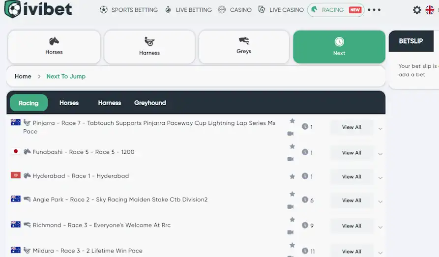IviBet horse betting Landscape screenshot image #1 for Ivibet Casino