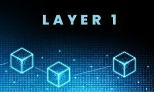 Layer 1 nodes