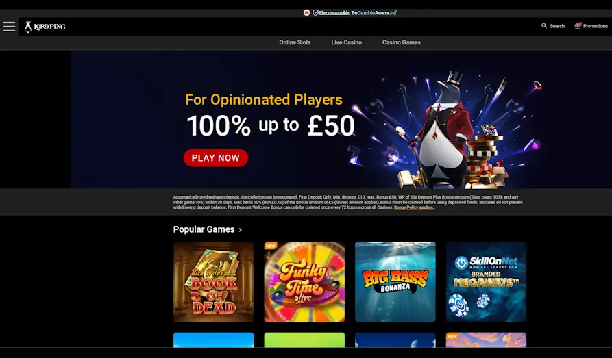 Lord Ping homepage Main screenshot image for Lord Ping