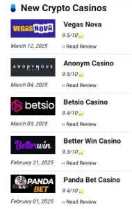 New crypto casinos widget