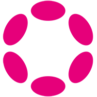 Polkadot Network