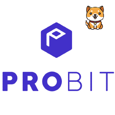 Probit Baby Doge Logo