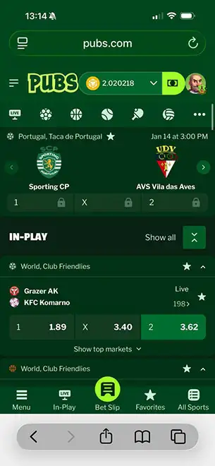 Pubs Casino mobile screenshot #5 Mobile Screenshot image #5 for Pubs Casino