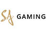 Logo for SA Gaming logo