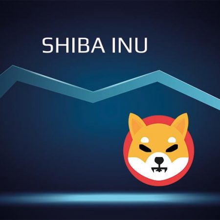 Shiba Inu (SHIB) price estimate for September 2022 – Rise or Fall?