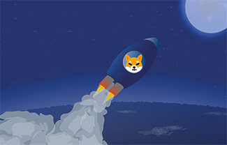 Shiba Inu on rocket to the moon
