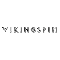 Viking Spin icon