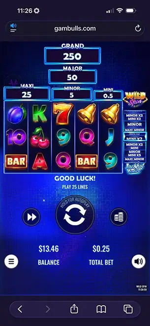Wild Spin mobile screenshot #1