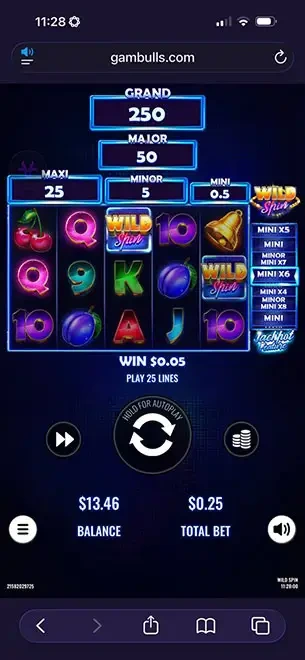 Wild Spin mobile screenshot #5