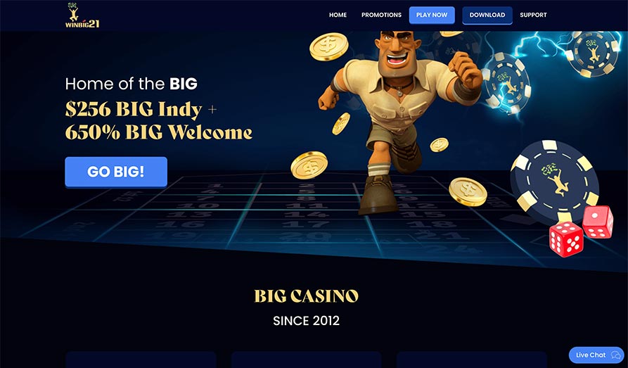 Screenshot image #1 for Win Big 21 Casino